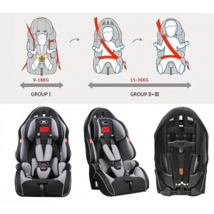 Robins car seat